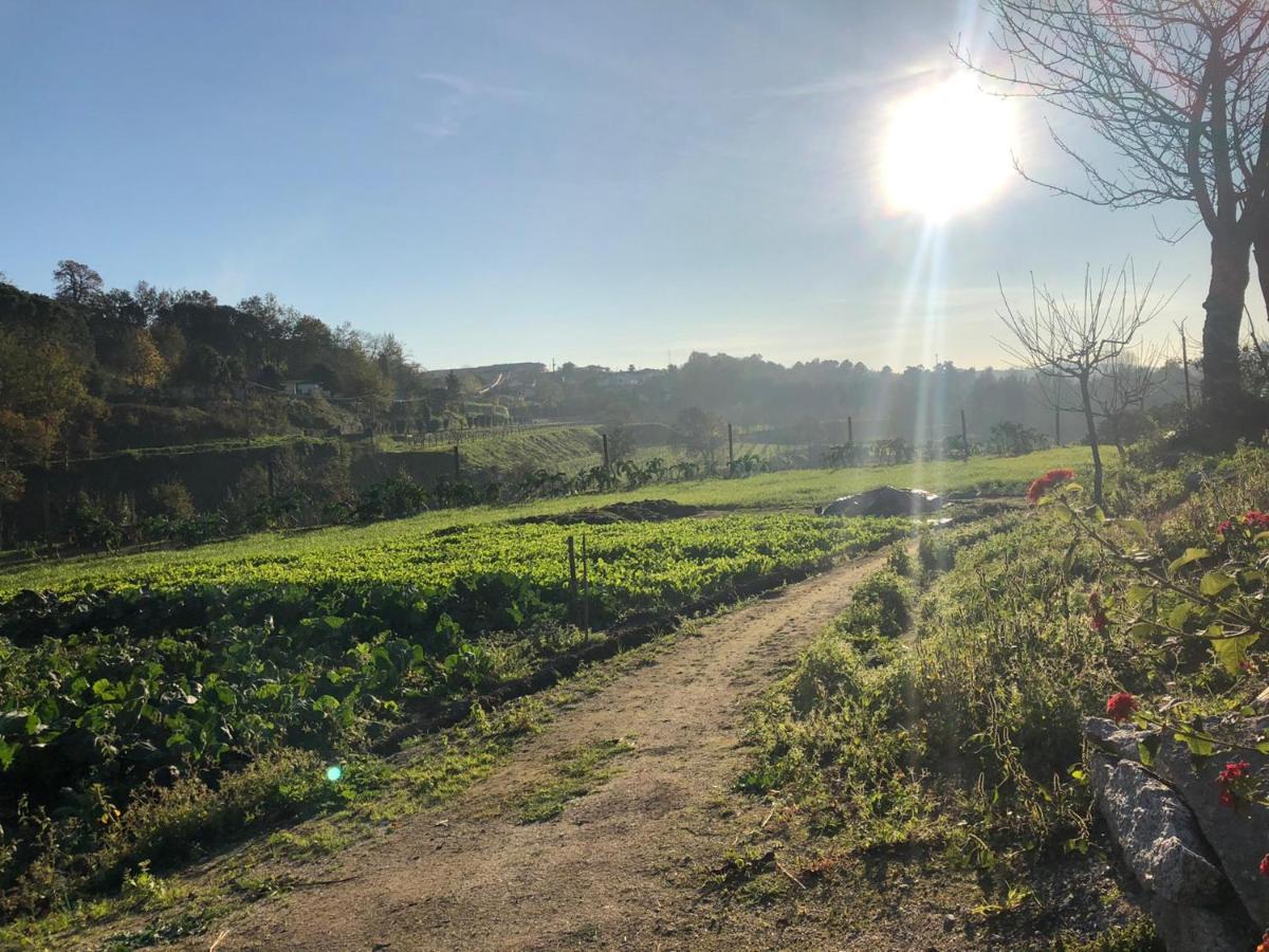 Quinta Do Ovelheiro Villa Guimarães Eksteriør billede